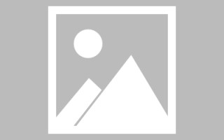 安岳鼎湖公司网站建设（鼎湖企业拓展）